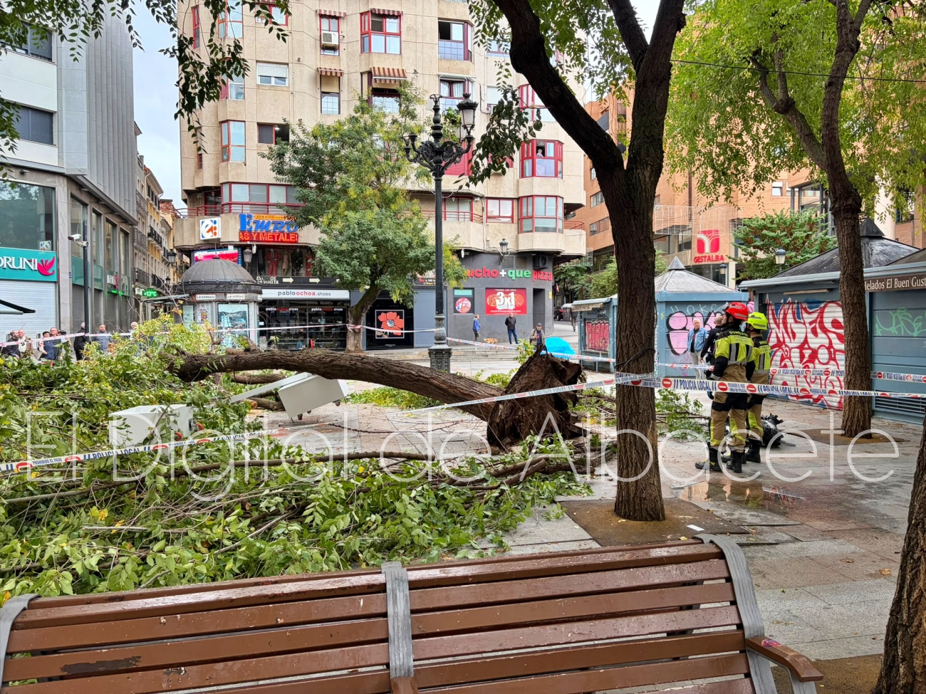 Árbol caído en la Plaza Mayor de Albacete
