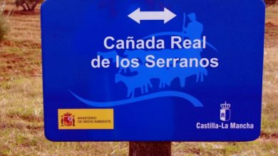 Cañada Real Los Serranos / Terra Laminitada