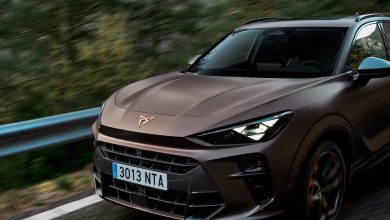 Cupra Terramar / Cupra